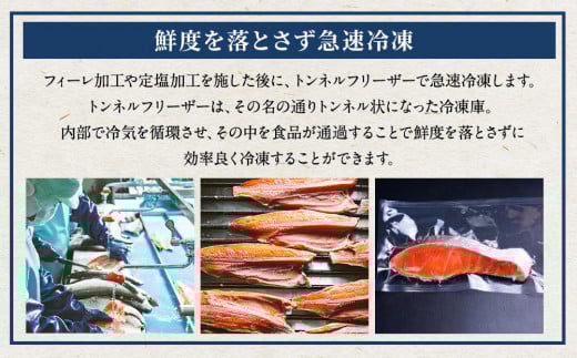 厚切り 定塩 塩紅鮭 切り身 20切