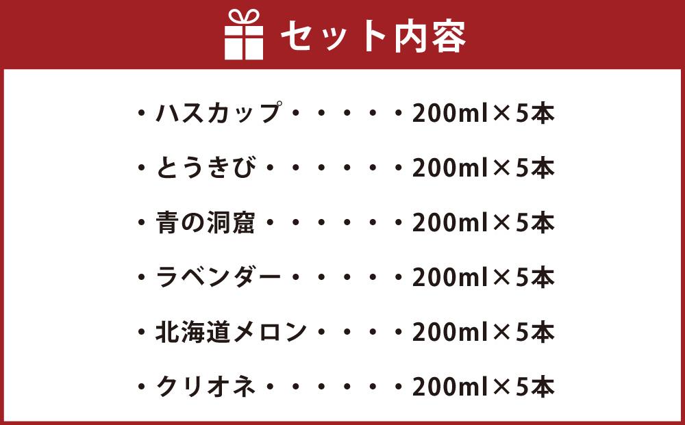 北海道 ラムネ 6種セット 各200ml×5本ずつ (北海道メロン、ハスカップ、ラベンダー、青の洞窟、クリオネ、とうきび)