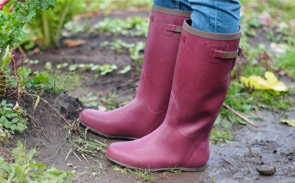 ウェリー #5 (ワイン) XLサイズ（28cm）