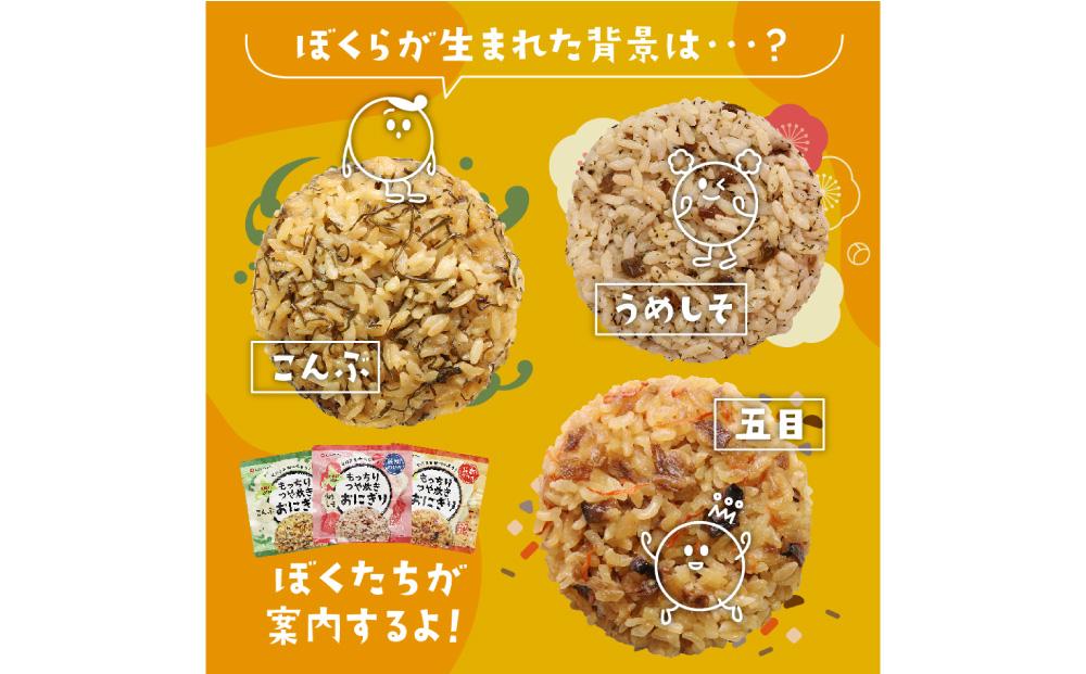 保存食 もっちりつや炊き おにぎり 12食セット(3種×各4個)