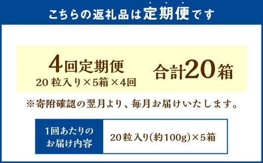 【4回定期便】 《冷凍》 北海道生チョコレート （ほうじ茶） 5箱×4回 合計20箱 生チョコレート 生チョコ チョコレート チョコ スイーツ 北海道 小樽市
