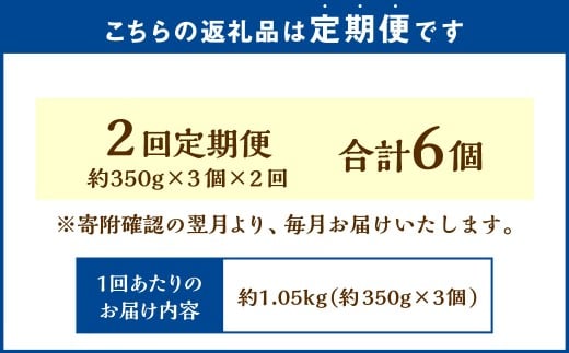 【2回定期便】 北海道フロマージュ （プレーン） 約1.05kg （約350g×3個） （計約2.1kg） フロマージュ クリームチーズ ケーキ 洋菓子 菓子 お菓子 定期便 北海道 小樽市 冷凍