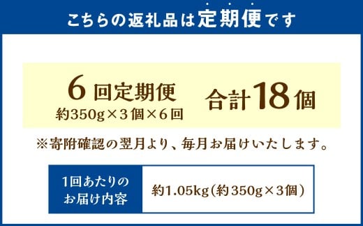 【6回定期便】 北海道フロマージュ （プレーン） 約1.05kg （約350g×3個） （計約6.3kg） フロマージュ クリームチーズ ケーキ 洋菓子 菓子 お菓子 定期便 北海道 小樽市 冷凍