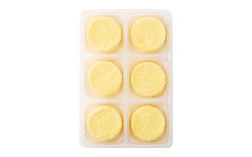 【2回定期便】 北海道ミニフロマージュ （プレーン） 約900g×2回 合計約1.8kg ミニフロマージュ フロマージュ チーズケーキ ケーキ スイーツ 洋菓子 冷凍 北海道 小樽市