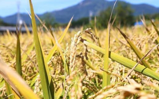 小樽の地酒 宝川720ml飲み比べセット
