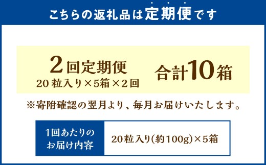 【2回定期便】 《冷凍》 北海道生チョコレート （抹茶） 5箱×2回 合計10箱 生チョコレート 生チョコ チョコレート チョコ スイーツ 北海道 小樽市
