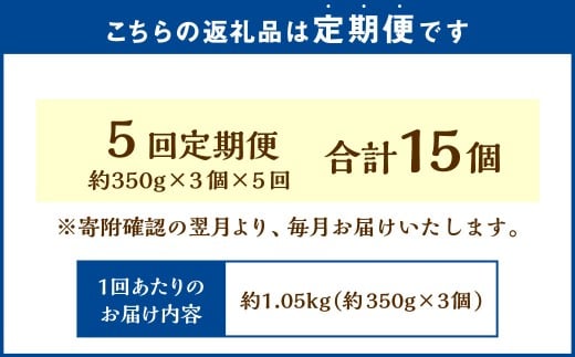 【5回定期便】 北海道フロマージュ （プレーン） 約1.05kg （約350g×3個） （計約5.25kg） フロマージュ クリームチーズ ケーキ 洋菓子 菓子 お菓子 定期便 北海道 小樽市 冷凍