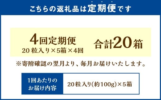 【4回定期便】 《冷凍》 北海道生チョコレート （ブラック） 5箱×4回 合計20箱 生チョコレート 生チョコ チョコレート チョコ スイーツ 北海道 小樽市