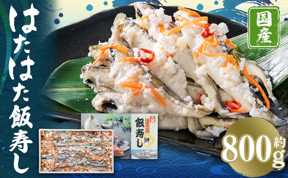 はたはた 飯寿し 約800g（化粧箱入り） ギフト 贈答用