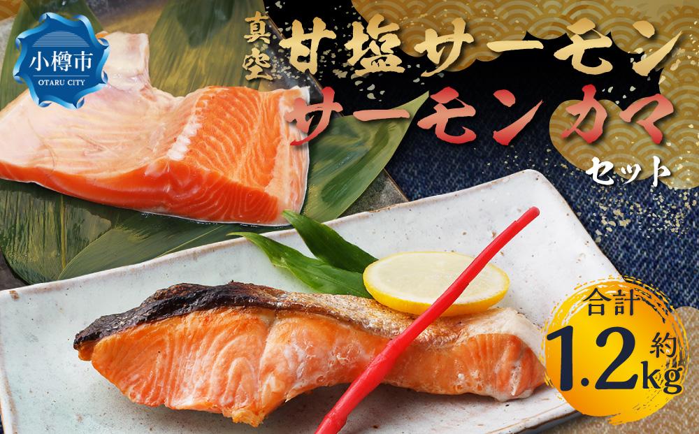 真空 甘塩 サーモン 6切れ&サーモン カマセット トラウトサーモン
