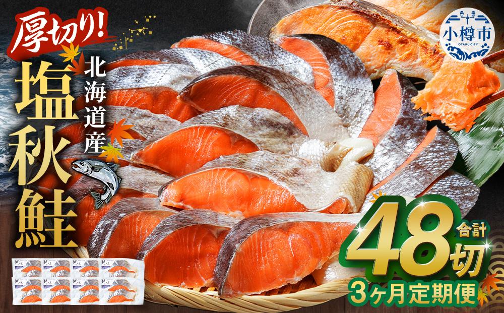 【3ヶ月定期便】厚切り！北海道産 塩秋鮭 48切 （2切（200g）×24パック） 計4.8kg 鮭 さけ しゃけ 切り身 切身
