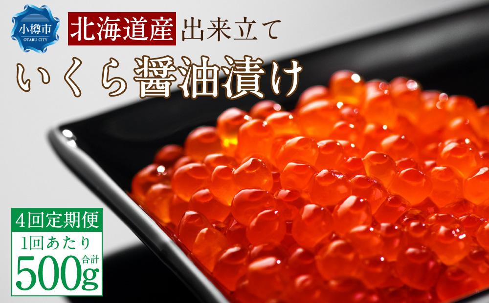 【4回定期便】北海道産 出来立て いくら醤油漬け 250gx2パック 合計500g いくら イクラ