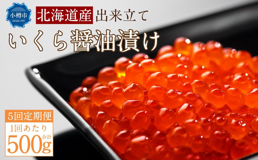 【5回定期便】北海道産 出来立て いくら醤油漬け 250gx2パック 合計500g いくら イクラ
