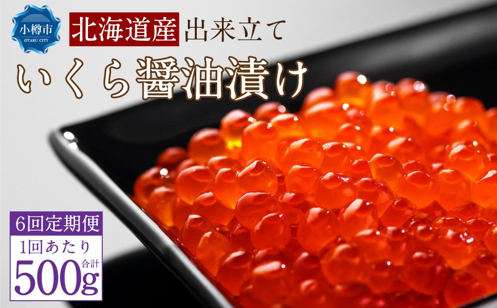 【2回定期便】北海道産 出来立て いくら醤油漬け 250gx2パック 合計500g いくら イクラ