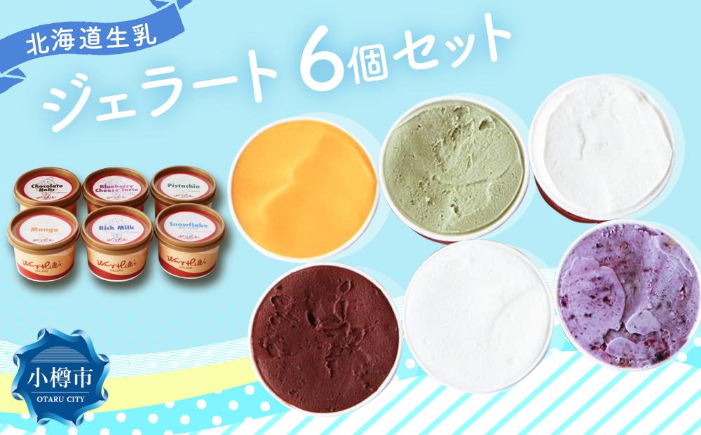 ジェラート 100ml×6個セット 全6種 北海道産生乳使用
