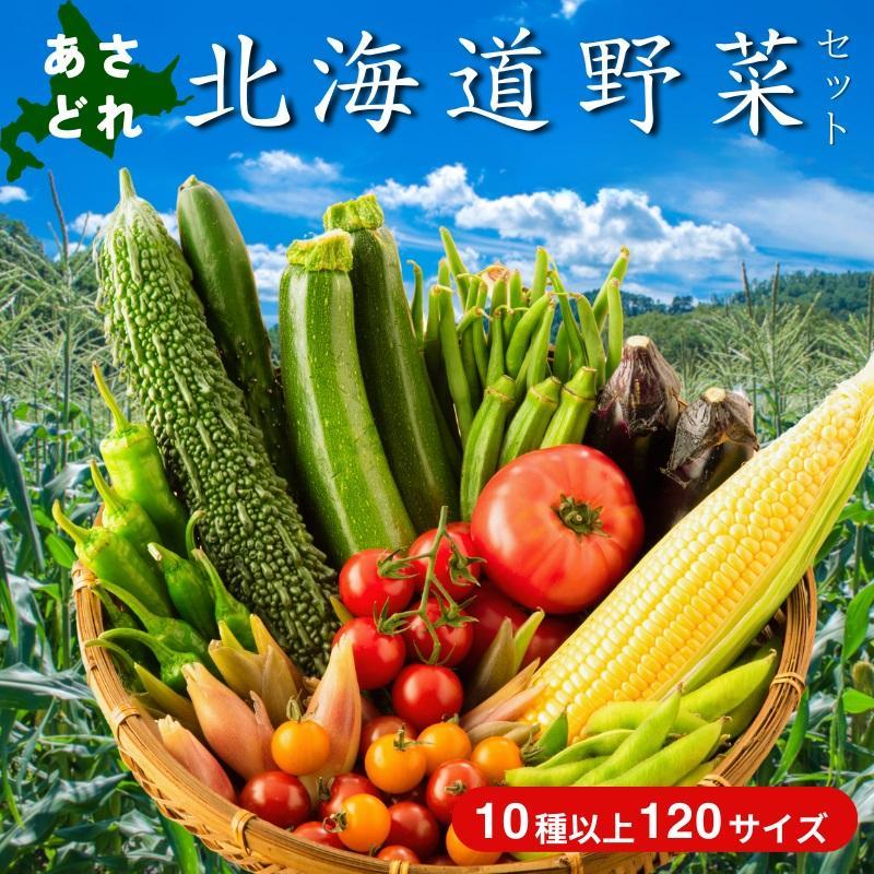 【4回定期便】【野菜ソムリエ厳選】北海道小樽産 旬の活野菜セットL 10種以上 120サイズ