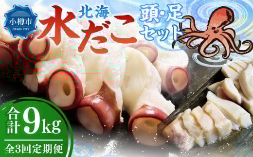 【3回定期便】北海 水だこ 頭・足 セット 約3kg 合計約9kg たこ タコ 蛸 冷凍だこ 冷凍蛸