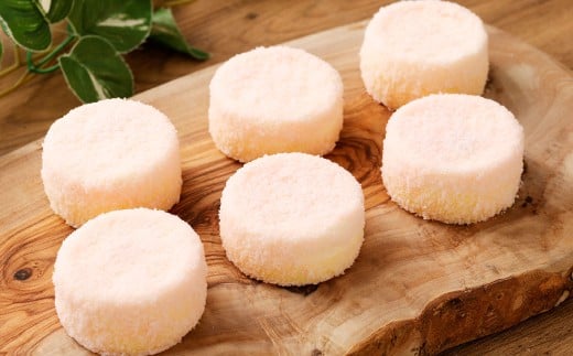 【6回定期便】 北海道ミニフロマージュ （アップル） 約900g×6回 合計約5.4kg ミニフロマージュ フロマージュ チーズケーキ ケーキ スイーツ 洋菓子 冷凍 北海道 小樽市