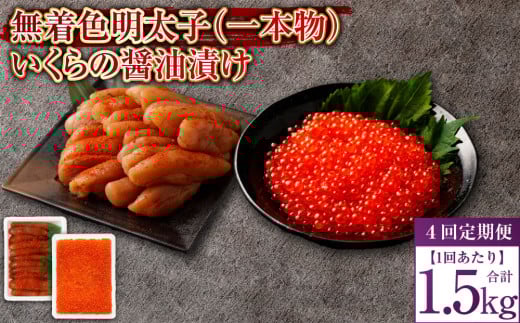 【4回定期便】無着色明太子（一本物）・いくらの醤油漬け 1回あたり合計1.5kg セット めんたいこ 明太子 無着色 いくら イクラ 醤油漬け 冷凍 北海道 小樽市
