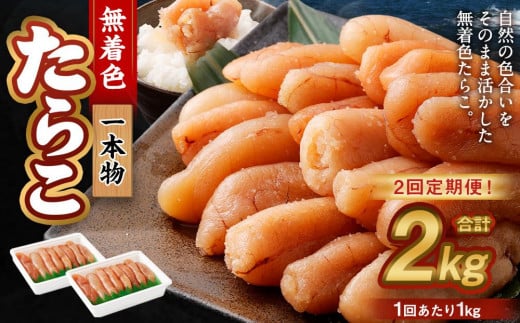 【2回定期便】無着色たらこ 一本物 1kg（500g×2） たらこ タラコ 鱈子 無着色 冷凍 北海道 小樽市