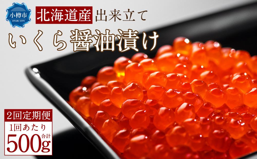 [2回定期便]北海道産 出来立て いくら醤油漬け 250gx2パック 合計500g いくら イクラ