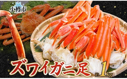 ズワイガニ 蟹脚 ボイル 約1kg 【otaru004】