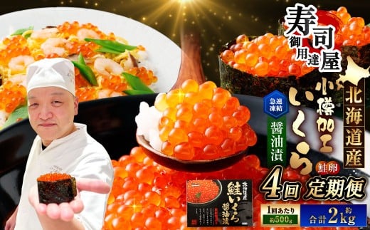 【4回定期便】 いくら醤油漬