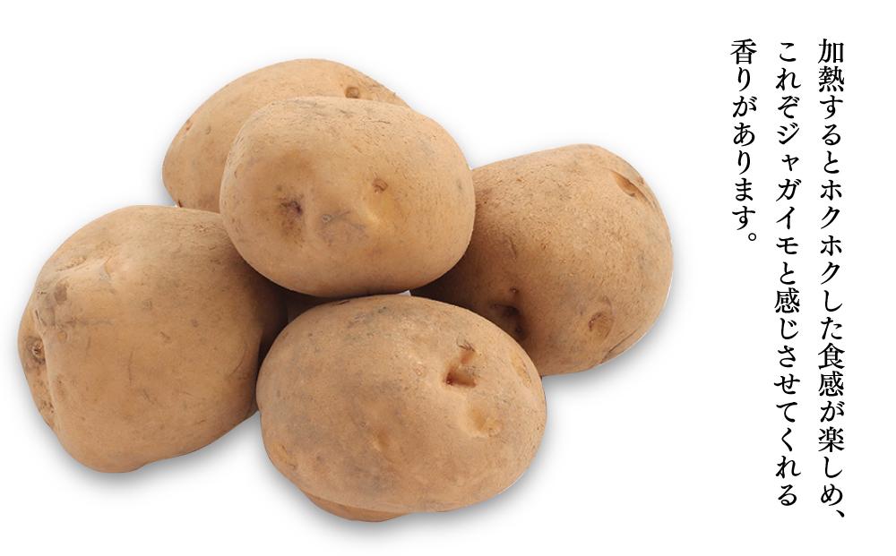 【26年先行予約】ホクホク男爵いも・甘みたっぷり玉ねぎ★10kgセット★（2026年9月下旬から発送開始） 【 じゃがいも 芋 玉葱 野菜 産地直送 旬 お取り寄せ 詰め合わせ 旭川市 北海道 】 _00565