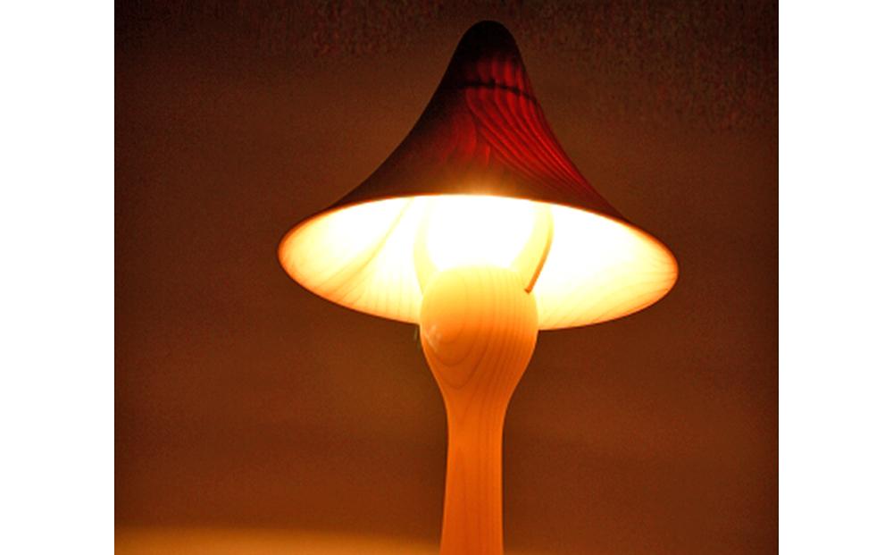 旭川クラフト 工房 灯のたね Shelly(シェリー) スタンドタイプ S 【 国産 無垢 インテリア 木製 ナチュラル デスクライト 卓上ライト テーブルランプ 照明 間接照明 ベッドサイド 寝室 北海道 】_00704