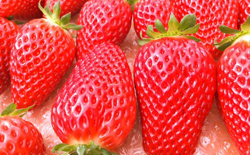 CRAFT 旭川いちご　糀あまざけ　15缶