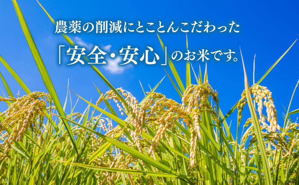 【令和7年産】あさひかわトップブランド「ゆめぴりか 白米」特別栽培米10kg(2025年11月中旬から発送開始予定) _00219