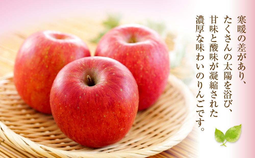 【先行予約】近澤果樹園 りんご「早生ふじ」5kg（2025年10月下旬より発送予定）【 果物 くだもの フルーツ デザート 旬 お取り寄せ 甘い 北海道産 人気 ランキング 北海道 旭川市 産地直送 送料無料 】_01178