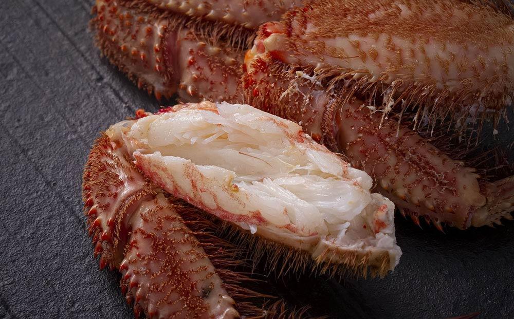 北海道オホーツク産　毛ガニ　1尾　800ｇ前後 _01190 ●