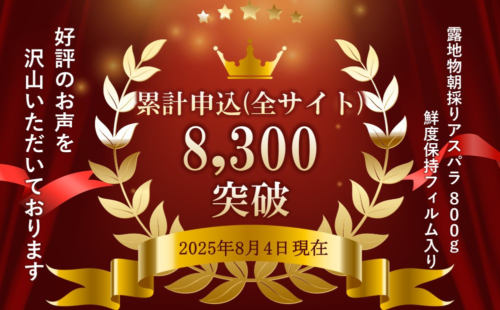 【2026年先行予約】露地物朝採りアスパラ 2L～3Lサイズ800g（400g×2）鮮度保持フィルム入り(5月中旬発送開始予定) 【 アスパラ アスパラガス 朝採り とれたて 野菜 旬 小分け 保存 産直 産地直送 お取り寄せ 旭川市 北海道 】_01593