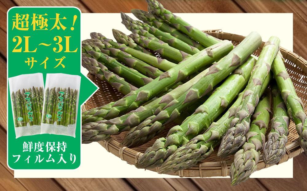【2026年先行予約】露地物朝採りアスパラ　鮮度保持フィルム入り　2～3L　500g×2　合計1kg(5月中旬発送開始予定) 【 アスパラ アスパラガス 朝採り とれたて 野菜 旬 小分け 保存 産直 産地直送 お取り寄せ 旭川市 北海道 】_03817