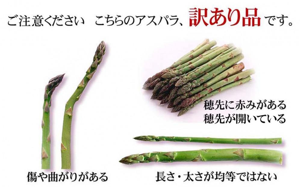 ◆2026年先行予約◆【訳あり】露地物朝採りアスパラ 750g×1 　鮮度保持フィルム入り(5月中旬発送開始予定) 【 アスパラ アスパラガス 朝採り とれたて 野菜 旬 小分け 保存 産直 産地直送 お取り寄せ 旭川市 北海道 】_04751