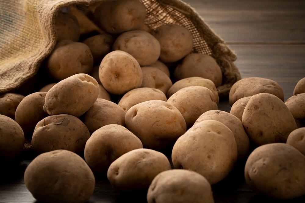 2025年10月より発送　新じゃが　男爵いも　10kg　北海道産のじゃがいも 【 じゃがいも いも イモ 芋 野菜 産地直送 旬 お取り寄せ 旭川市 北海道 】_04858