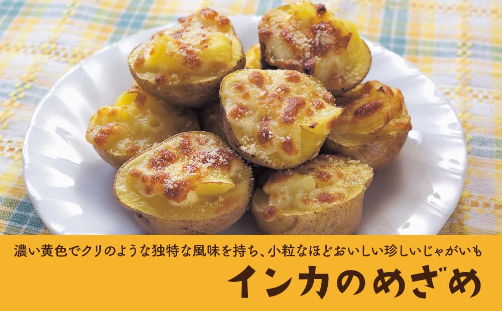 北海道産じゃがいも（インカのめざめ）4kg（2025年11月下旬頃発送開始予定）【 インカの目覚め じゃがいも ジャガイモ いも 芋 ポテト 旭川 北海道 野菜 】_00417