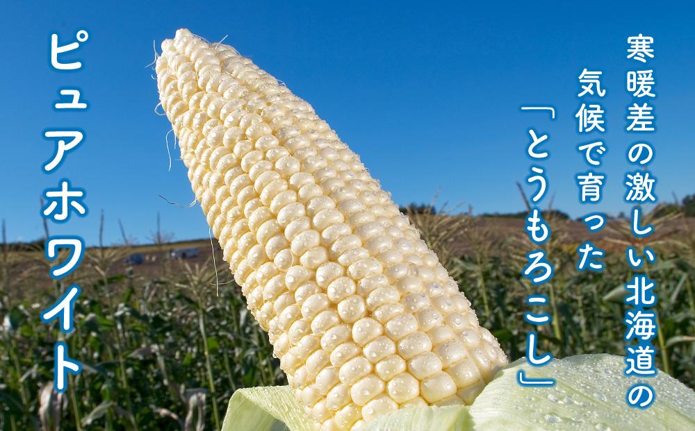 白いとうもろこしピュアホワイト 12本 3.6kg(2025年8月下旬より発送予定) 【 人気 北海道産 糖度 生 野菜 スイートコーン 産地直送 バーベキュー BBQ コーン 旬 お取り寄せ 旭川市 北海道 送料無料 】_00407