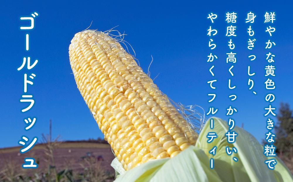 【2026年先行予約】黄金色で大粒 ゴールドラッシュ 8本 3.2kg（2026年8月下旬から発送開始予定）【 人気 北海道産 糖度 生 野菜 スイートコーン 産地直送 バーベキュー BBQ コーン 旬 お取り寄せ 旭川市 北海道 】_04560