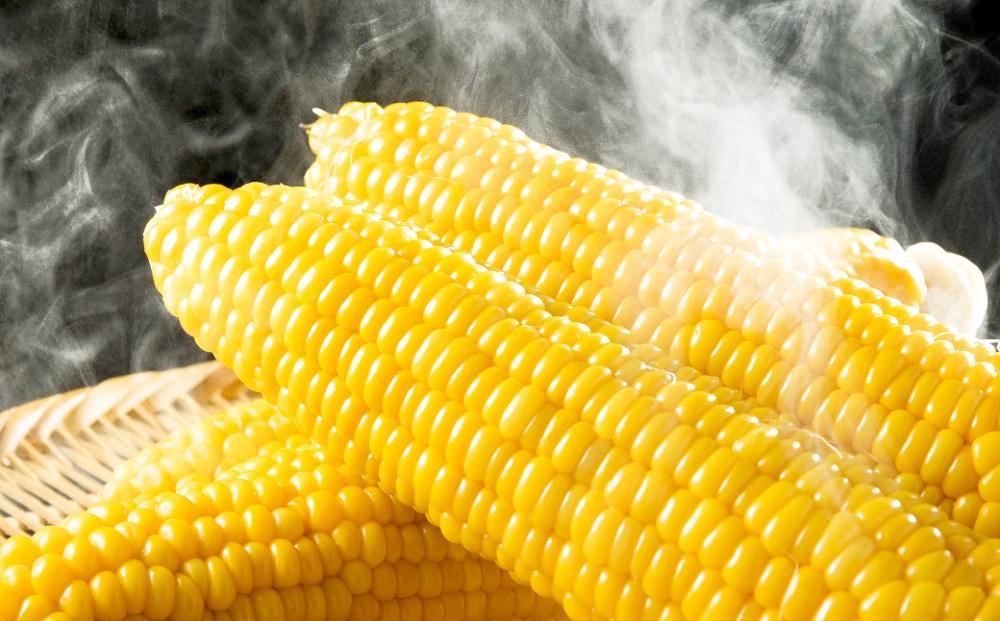 【2026年先行予約】とうもろこしコラボセット!　ピュアホワイト4本×ゴールドラッシュ4本（2026年8月下旬から発送開始予定）【 白いとうもろこし 人気 北海道産 糖度 生 野菜 スイートコーン 産地直送 バーベキュー BBQ コーン 旬 お取り寄せ 旭川市 北海道 】_04561