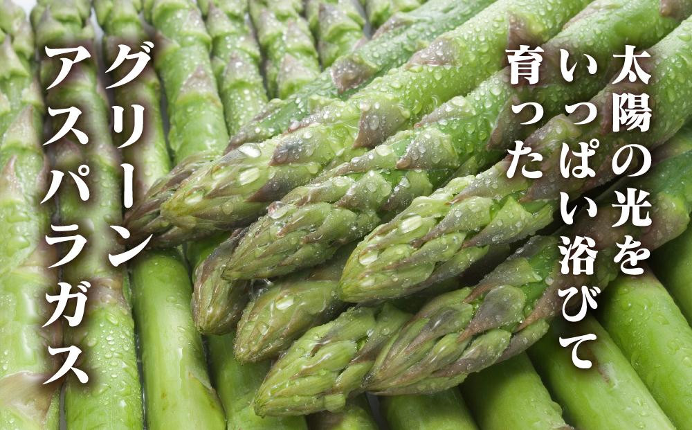 【先行予約】春収穫グリーンアスパラLサイズ（400g×3）約1.2kg（2026年6月上旬から発送開始予定）【 アスパラ アスパラガス 朝採り とれたて 野菜 旬 小分け 保存 産直 産地直送 お取り寄せ 旭川市 北海道 】_05534