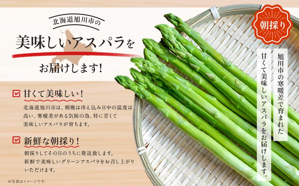 【先行予約】朝採り グリーンアスパラ M～2L 1.2kg (2026年5月下旬発送開始予定) 【 アスパラ アスパラガス 朝採り とれたて 野菜 旬 小分け 保存 産直 産地直送 お取り寄せ 旭川市 北海道 】_01705