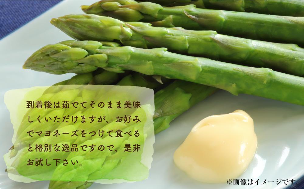 朝採り グリーンアスパラ 2L～3L 700g (2025年5月下旬発送予定)_03900