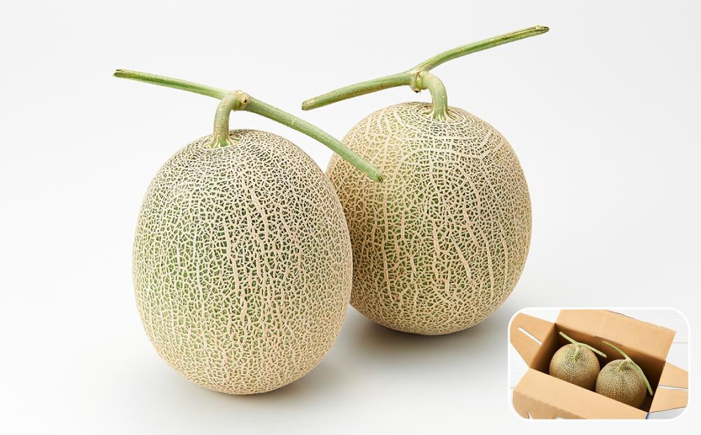 【先行予約】 北海道産青肉メロン約1.6kg×2玉 (2026年7月中旬から発送予定)【 果物 くだもの フルーツ メロン 青肉 青肉メロン 旬 お取り寄せ 甘い 北海道産 旭川市 北海道 】_05291