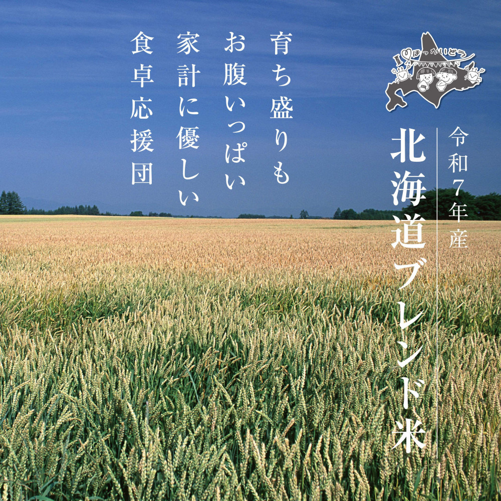 【2026年2月中旬から発送】令和7年産 北海道ブレンド米 (10kg) 【 白米 精米 ご飯 ごはん 米 10kg  お米 旭川市ふるさと納税 北海道ふるさと納税 】_03888