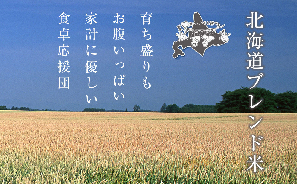 【2026年4月中旬から発送】令和7年産 北海道ブレンド米 (3kg) 【 白米 精米 ご飯 ごはん 米  お米 旭川市ふるさと納税 北海道ふるさと納税 】 _05312