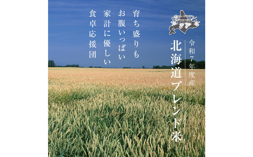 令和7年産 北海道ブレンド米 (5kg) 【 白米 精米 ご飯 ごはん 米  お米 旭川市ふるさと納税 北海道ふるさと納税 】 _05313