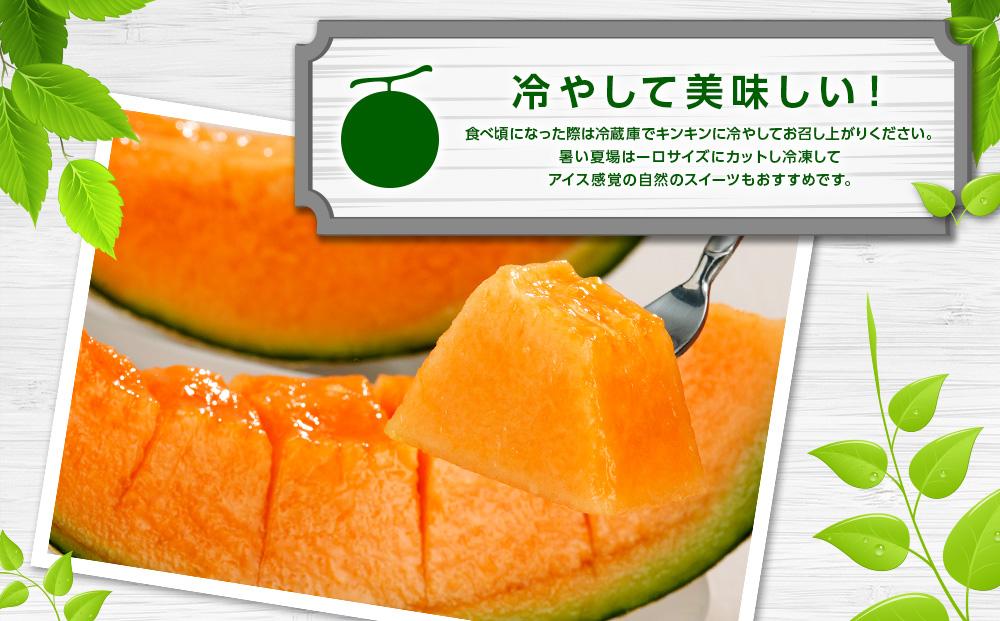 【先行予約】北海道産赤肉メロン合計3kg前後（2玉入）2026年7月中旬から順次発送予定【 果物 くだもの フルーツ 】_01979