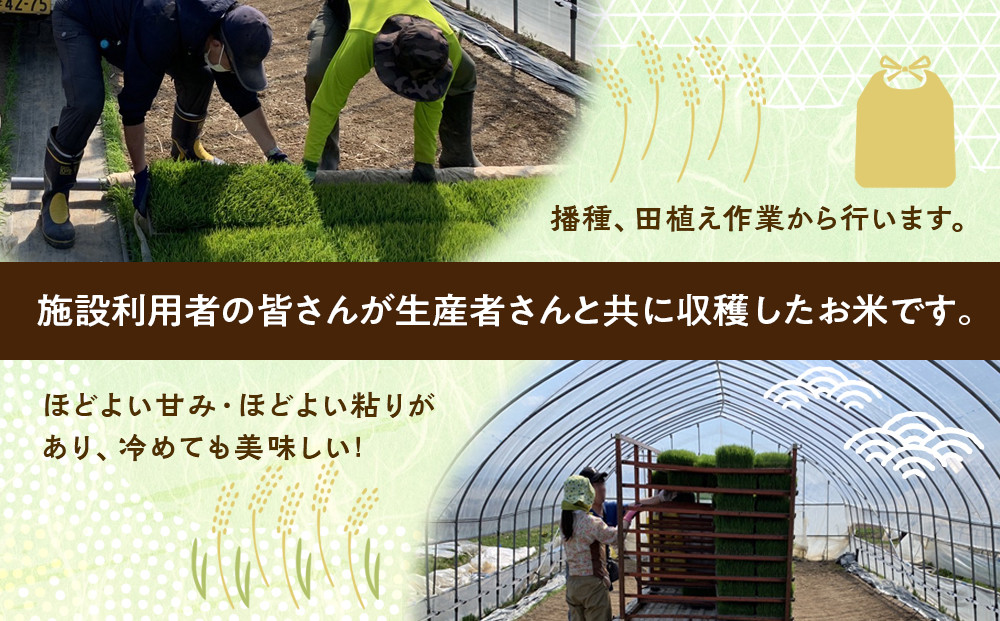 【6回定期便】ふくしえんのおこめ（ななつぼし）5kg 【 特A 白米 精米 ご飯 ごはん 米 お米 ななつぼし 旭川市ふるさと納税 北海道ふるさと納税 旭川市 北海道 】_05686